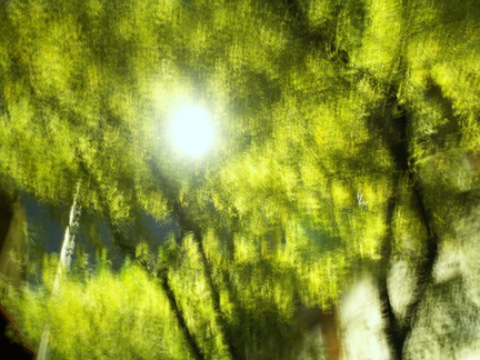 20061022 042509